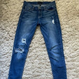 Flying Monkey Platinum Distressed Skinny Jeans